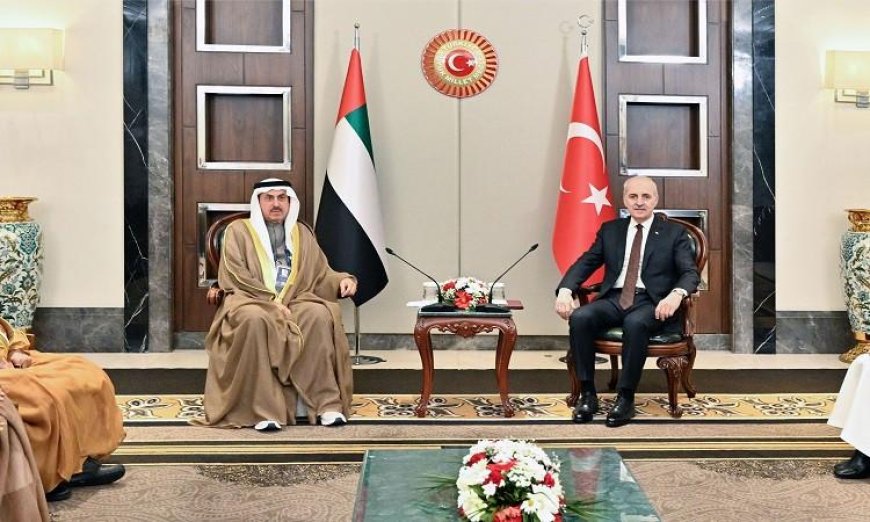 الإمارات وتركيا تتوحدان في إدانة الاعتداءات الإيرانية على دول الخليج