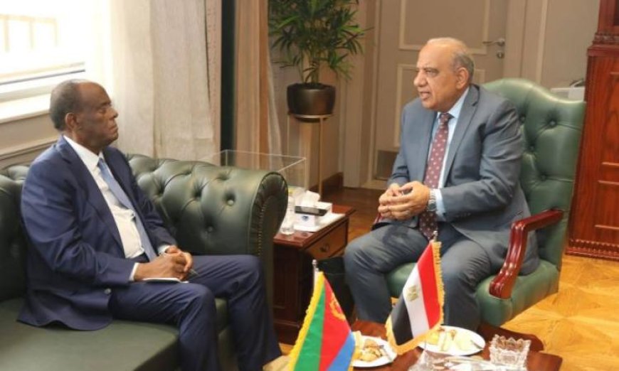 عصمت يعزز التعاون بين مصر وإريتريا في الطاقة المتجددة لدعم التنمية المستدامة