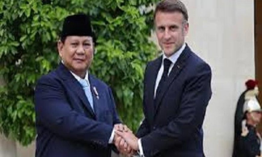 الرئيسان الفرنسي والإندونيسي يتباحثان في قصر الإليزيه لتعزيز التعاون الاستراتيجي بين البلدين