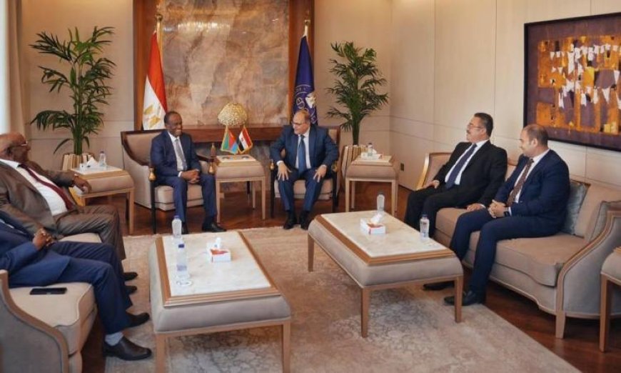 الغمراوي يستقبل وفد إريتري رفيع المستوى لتعزيز أطر التعاون المشترك