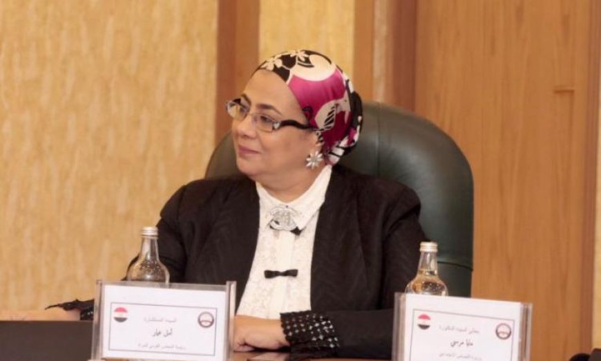 أمل عمار تؤكد أن الغرف الصديقة للطفل تمثل ثورة في مسار العدالة في مصر