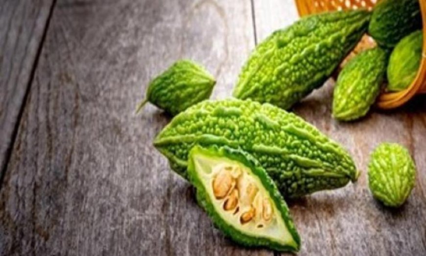 فوائد القرع المر في الوقاية من السكري والأورام الصحية