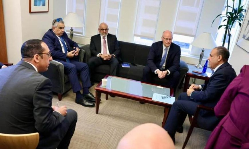 وزير الخارجية المصري ي reaffirm ثوابت الموقف المصري تجاه القضية الفلسطينية