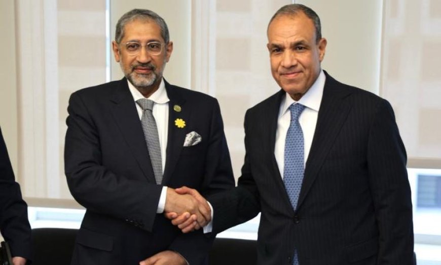 وزير الخارجية يجتمع مع رئيس المصرف العربي للتنمية الاقتصادية في أفريقيا لتعزيز التعاون الاقتصادي