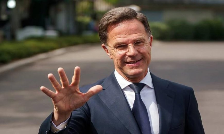 روته في برلين يشدد على أهمية استمرار دعم أوكرانيا في ظل تصاعد التحديات الأمنية