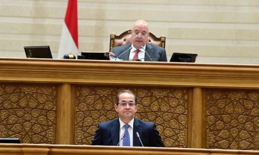 وزير المالية يكشف عن الموازنة الجديدة التي تلبي الاحتياجات الأساسية أمام النواب