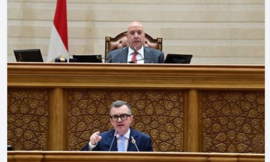 وزير التخطيط يكشف عن أبرز ملامح خطة التنمية الاقتصادية لعام 2026/2027 أمام مجلس النواب