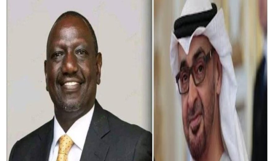 رئيسا الإمارات وكينيا يتبادلان الآراء لتطوير التعاون في جميع المجالات