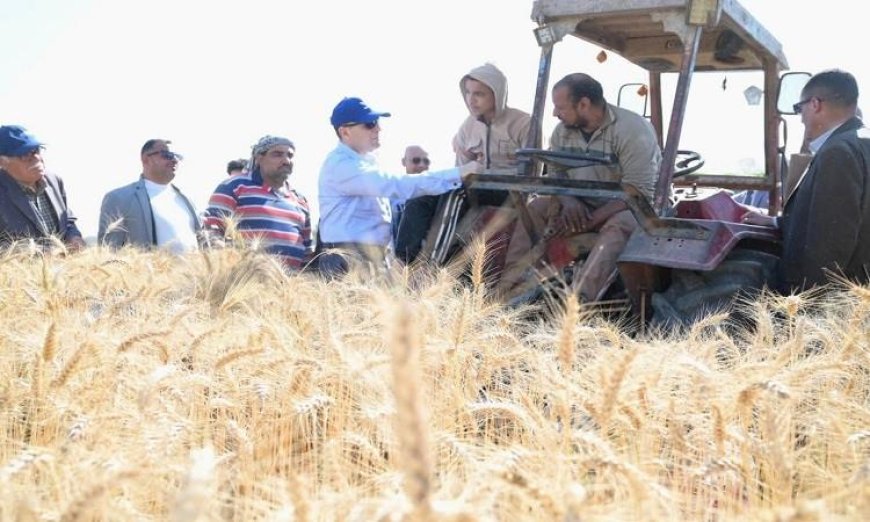 محافظ الغربية يبدأ موسم حصاد القمح في مركز زفتى بفعالية مميزة