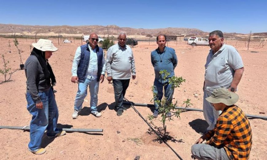 خبراء بحوث الصحراء يزورون تجمعات كاترين الزراعية لدعم المتضررين من الأزمات الزراعية