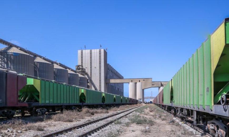 ميناء دمياط يستقبل 29 سفينة حاويات وبضائع عامة في حركة تجارية نشطة