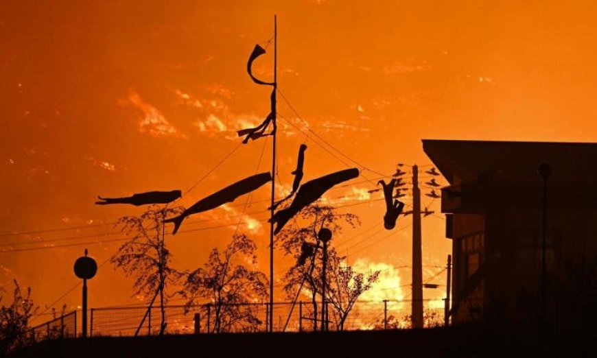 مخاوف من حرائق الغابات تطالب بإجلاء أكثر من ألف شخص في شمال شرق اليابان