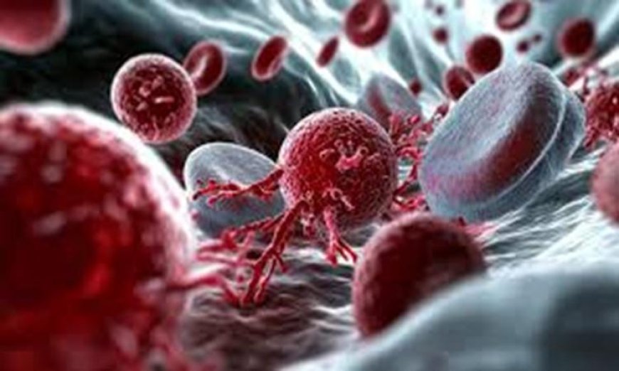 اختبار دم مبتكر يكشف عن خطر الإصابة بألزهايمر قبل ظهور الأعراض بعYears