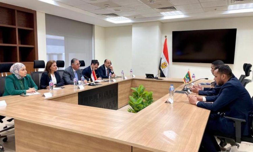 نائب وزير الخارجية يؤكد أن دعم المصريين في الخارج يتصدر أولويات الدولة مع الإشارة إلى إسهاماتهم الهامة