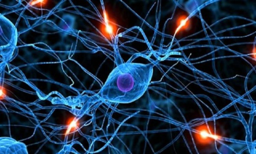 ابتكار خلايا عصبية اصطناعية تعزز نشاط الدماغ البشري بشكل مباشر