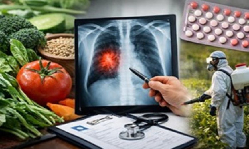 دراسة تكشف العلاقة بين أنظمة الغذاء الصحي وزيادة مخاطر سرطان الرئة لدى غير المدخنين
