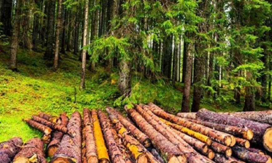 الأرض تتخلف عن تلبية احتياجات البشر من الموارد الطبيعية