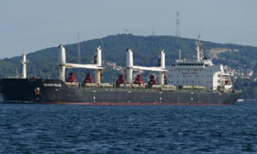 ميناء نويبع البحري يشهد تداول 5700 طن من البضائع و394 شاحنة في يوم واحد