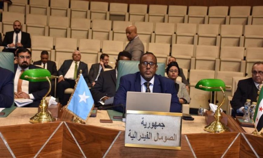 دول الجامعة العربية تندد بتعيين إسرائيل مبعوثًا إلى إقليم أرض الصومال