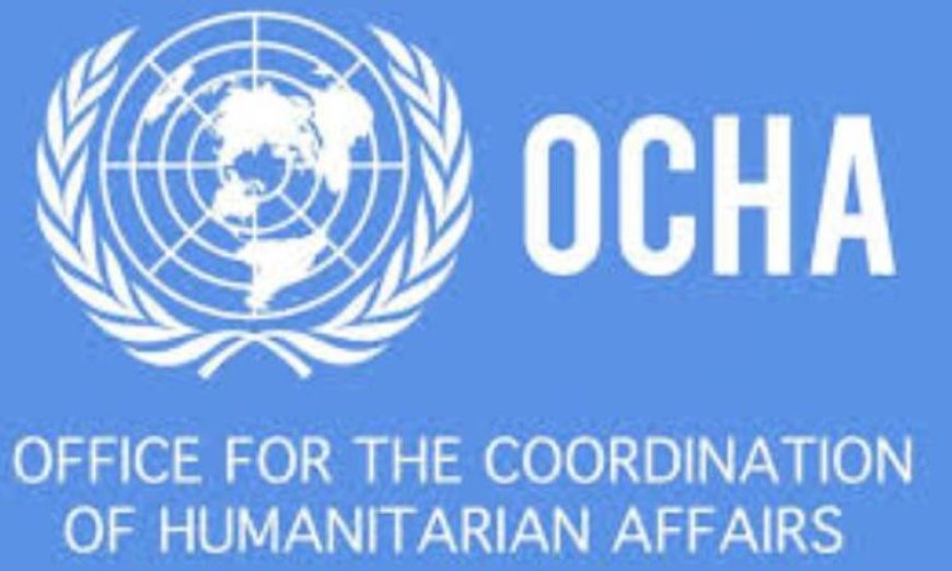 مسؤولة أممية تحذر من تدهور الوضع الإنساني في لبنان جراء العدوان الإسرائيلي