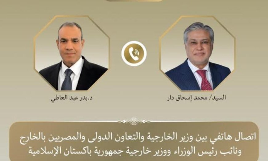 وزير الخارجية يتباحث مع نظيره الباكستاني حول تطورات المفاوضات الأمريكية الإيرانية