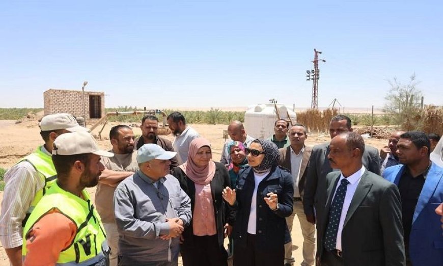 محافظ الوادي الجديد يزور المشروع الزراعي في قرى جورمشين بباريس لتعزيز التنمية الزراعية