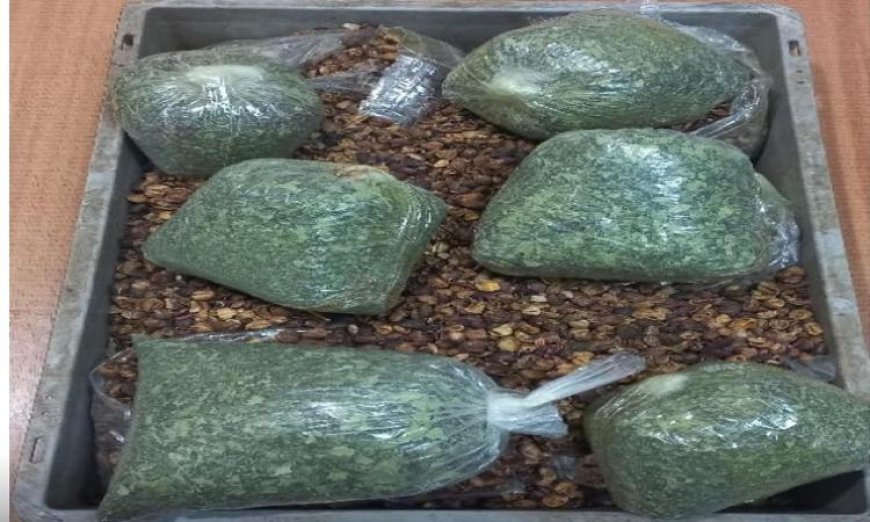 جمارك مطار القاهرة تضبط راكبًا يحمل 3.5 كيلو من مخدر القات