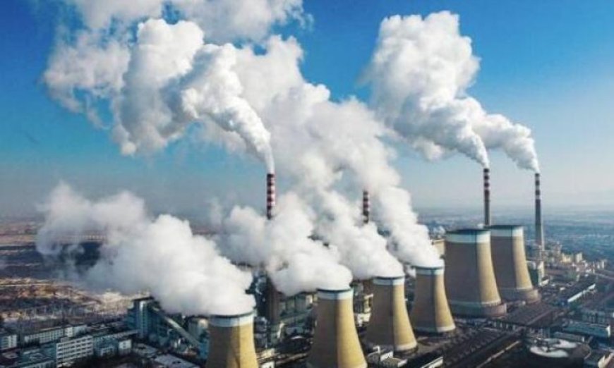 استشاري المناخ بالأمم المتحدة يؤكد ضرورة خفض البصمة الكربونية لدخول الأسواق العالمية