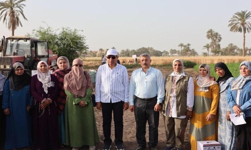 محافظ المنيا يتشارك مع المزارعين في حصاد القمح بمركز سمالوط وأهمية القمح في تعزيز الأمن القومي