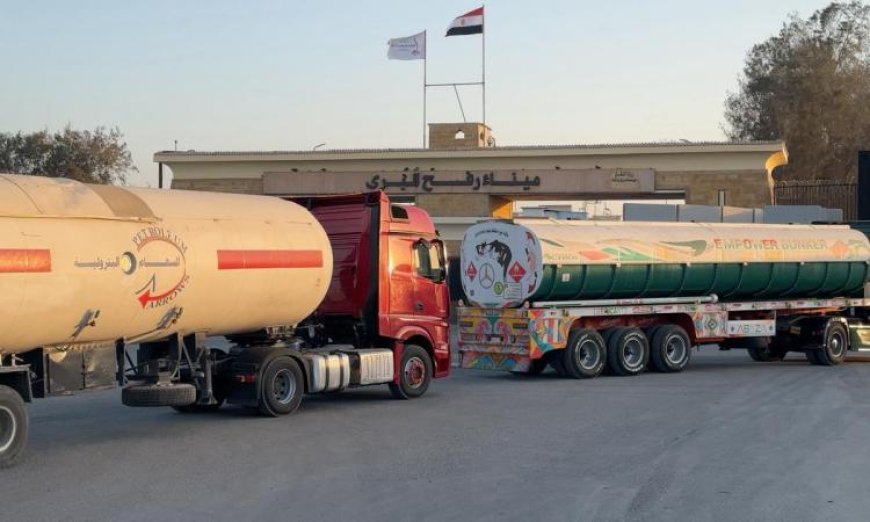 الهلال الأحمر المصري يوزع 105 آلاف سلة غذائية على المتضررين في قطاع غزة