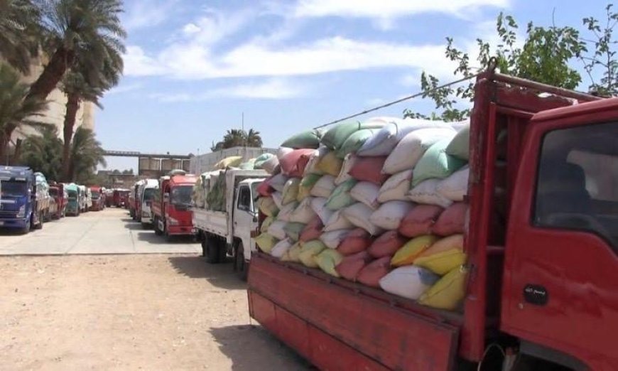محافظ سوهاج يعلن عن توريد أكثر من 20 ألف طن من القمح وضمان صرف مستحقات المزارعين