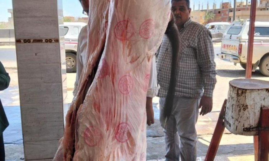 حملات رقابية شاملة في المحافظات لمكافحة ذبح البتلو خارج المجازر