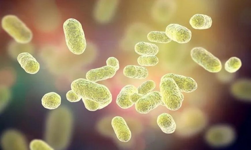 الجرافين ثورة في مكافحة البكتيريا الخطيرة مع حماية الخلايا البشرية