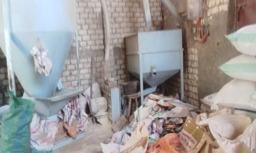 إدارة الإنتاج الحيواني في الفيوم تواصل جهود المعاينات والتراخيص لخدمة المزارعين والمربين