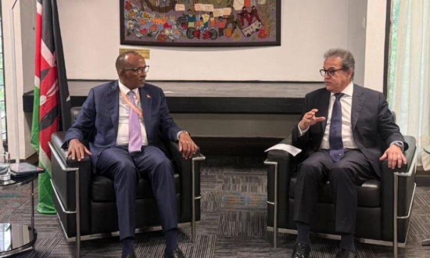 وزير الصحة المصري يتباحث مع نظيره الكيني لتعزيز التعاون الصحي وتبادل الخبرات الطبية