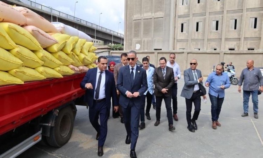 محافظ الجيزة يزور صومعة إمبابة لمتابعة سير تخزين محصول القمح وتوريداته