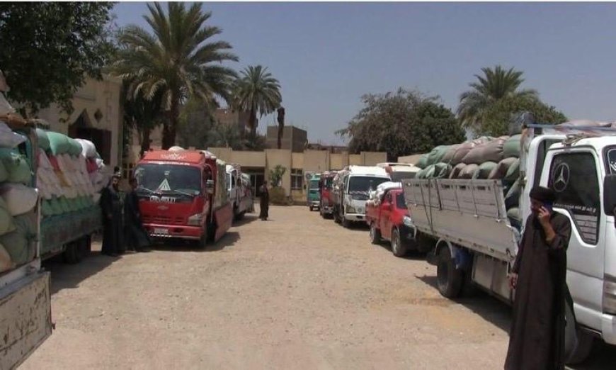توريد 29.5 ألف طن قمح للصوامع والشون في سوهاج حتى الآن وفقاً للمحافظ