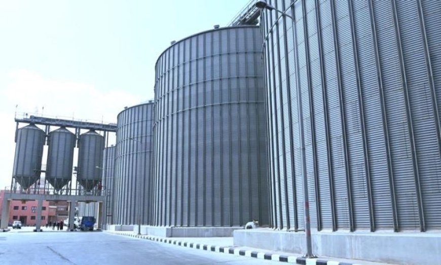 محافظ البحيرة يعلن عن استلام أكثر من 9600 طن من القمح المحلي وتجهيز 39 موقعًا لاستقبال المحصول