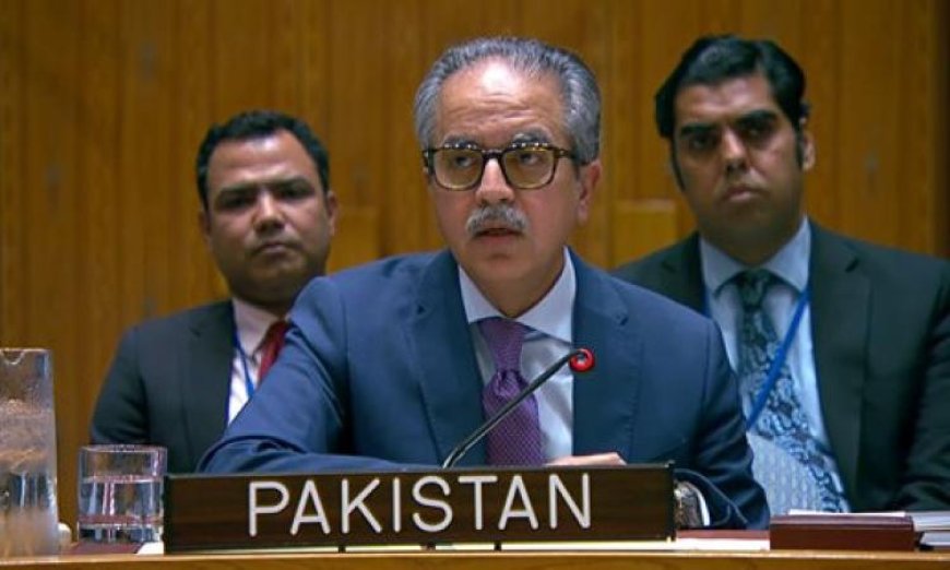 باكستان تؤكد أمام مجلس الأمن أهمية أمن الممرات البحرية وتعهدها بحماية التجارة بشكل مستدام