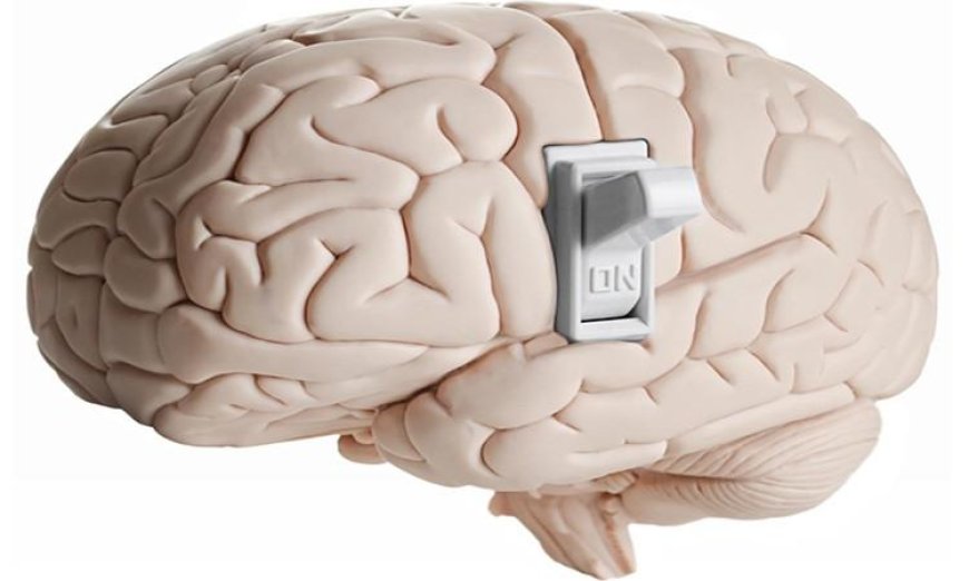 اكتشاف جديد للعلماء مفتاح التحكم في الألم المزمن داخل الدماغ