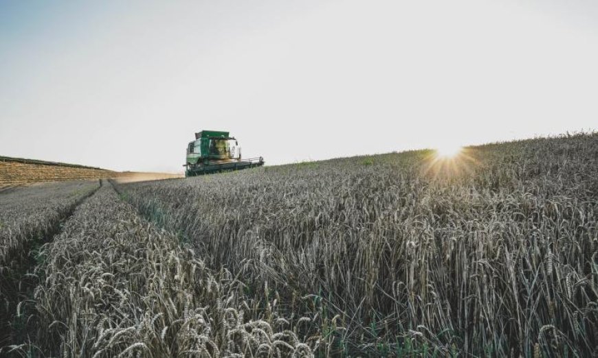 ارتفاع أسعار الأسمدة نتيجة حرب إيران يعصف بالإنتاج الغذائي العالمي