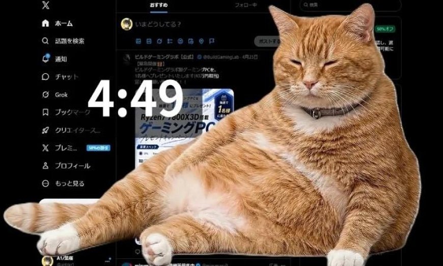 قط ضخم يجذب الأنظار ويحثك على التوقف عن تصفح السوشيال ميديا ومواجهة إدمان الإنترنت