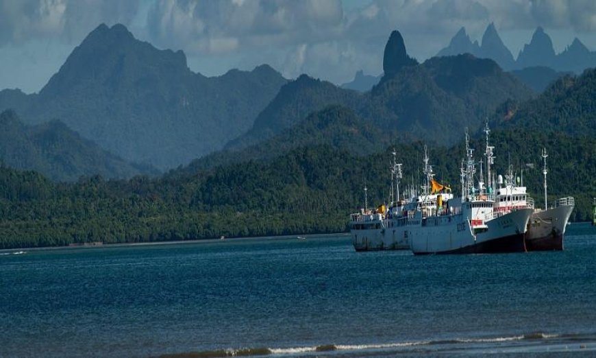 الأمين العام للمنظمة البحرية الدولية يؤكد على أن حرية الملاحة أمر غير قابل للتفاوض