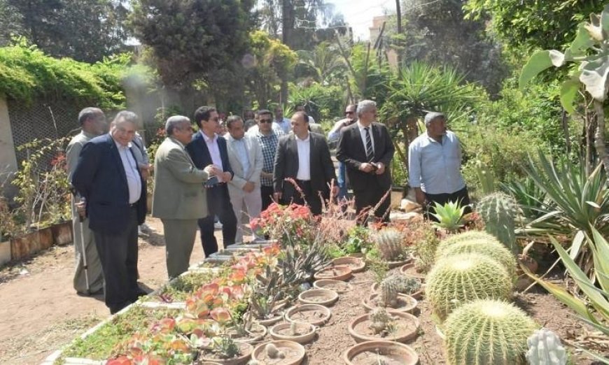 د. الجيزاوي يكشف عن الجدول الزمني لاستلام مبنى وقاية النبات وموعد دخوله الخدمة في العام الجديد