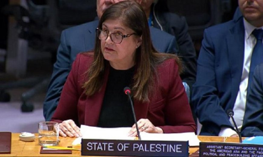 فلسطين تناشد العالم بالتدخل العاجل لحماية المدنيين واستجابة سريعة للأزمة الإنسانية في غزة