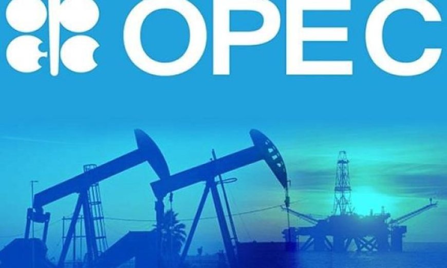 الإمارات تنسحب من أوبك وخبراء الطاقة يؤكدون أن القرار يحرر أبوظبي في تسعير وإنتاج النفط