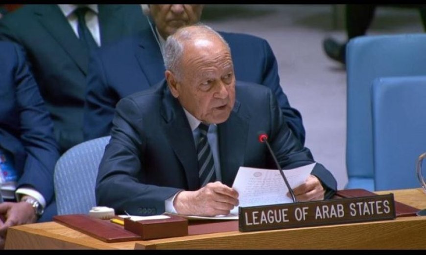 أبو الغيط يؤكد أن الاحتلال الإسرائيلي هو المحور الرئيسي لعدم الاستقرار في الشرق الأوسط