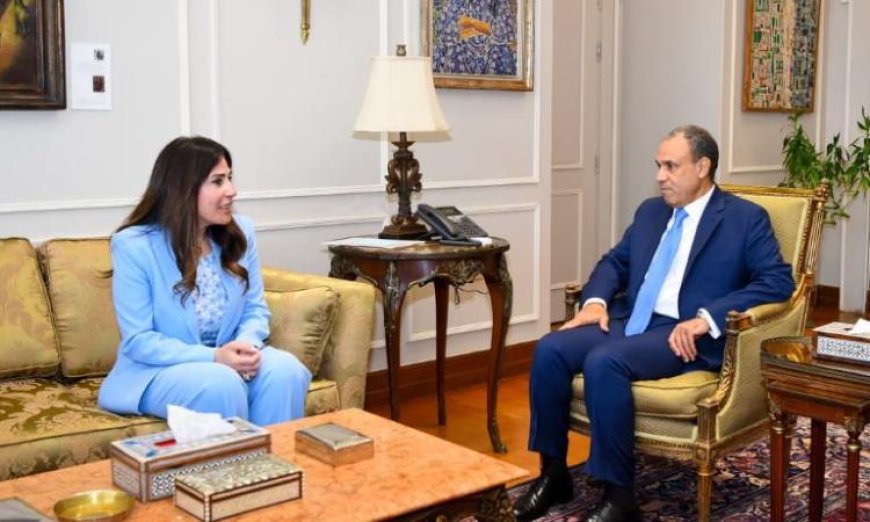 وزير الخارجية يناقش مع وزيرة الإسكان تعزيز الجهود الوطنية لدعم المصريين المغتربين