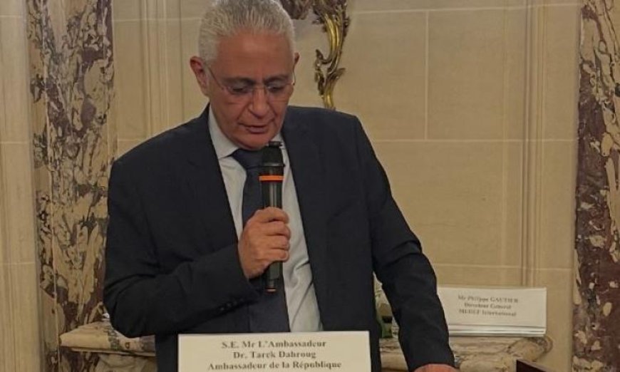 السفير طارق دحروج يؤكد استقرار مصر السياسي والأمني القوي