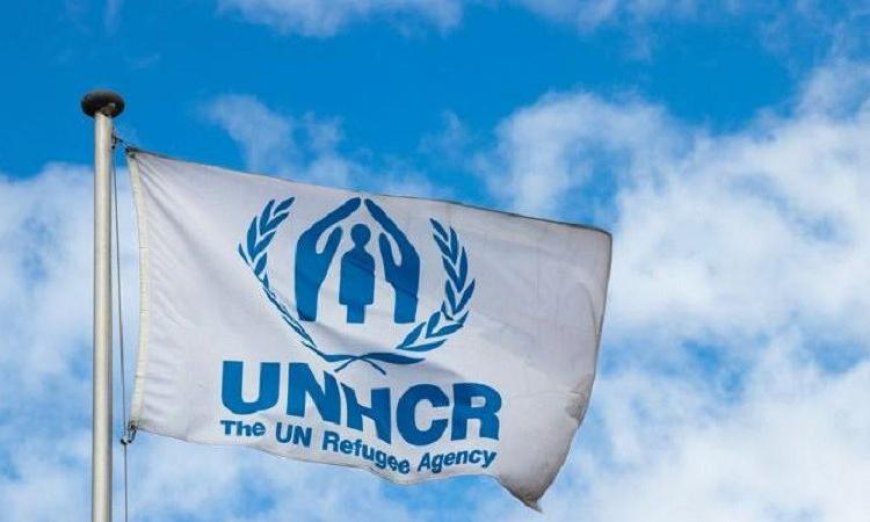 مفوضية اللاجئين في الأردن تعلن عن تمويل وصل إلى 65 مليون دولار لعمليات اللاجئين في 2026